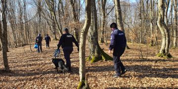 Minori identificaţi la scurt timp după sesizarea dispariţiei