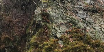 Bărbatul dispărut de ieri în zona Dealul Minei Baia Sprie a fost găsit decedat. Salvamontiştii l-au găsit căzut într-o râpă – video