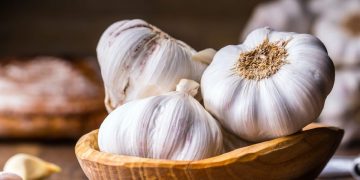 Fermierii ar putea primi un ajutor de minimis de 7,5 milioane lei prin programul de susţinere a producţiei de usturoi