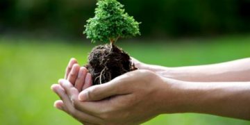 Grefierii maramureşeni participă la campania de împădurire „O pădure cât o ţară!”