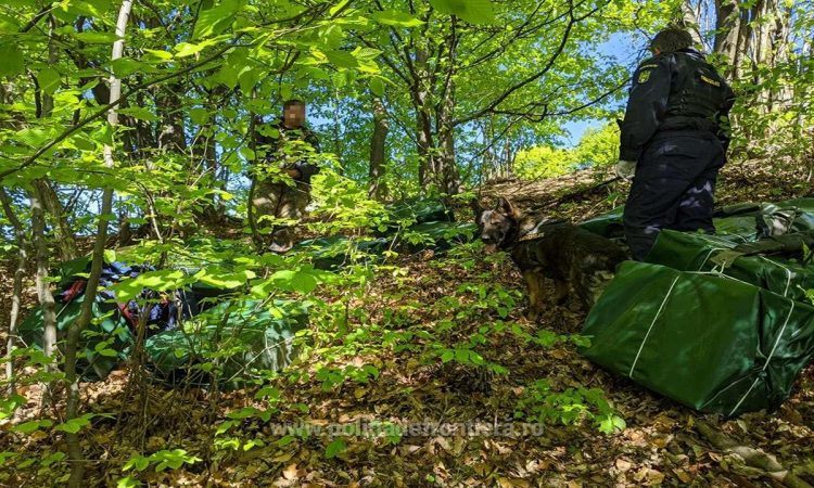 Aproximativ 40.000 de pachete cu țigări de contrabandă depistate la graniţa cu Ucraina