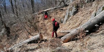 Lucrări de întreținere a traseelor turistice din Maramureș – FOTO