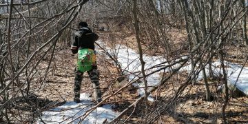 Traseele spre VF. Igniș, curățate și marcate