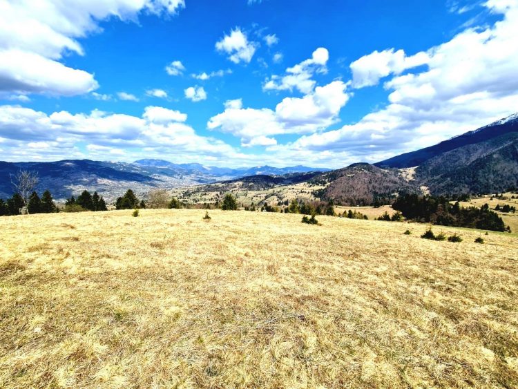 Imagini din inima munților maramureșeni: „Aici nu există pandemie!”