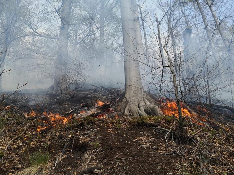 Zi plina pentru Salvamont Maramureș. Ce intervenții au avut. FOTO