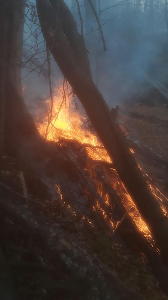 Incendiul de proporții pe un versant din Șurdești