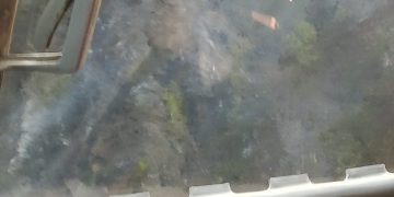 Incendiu la Pietrele Șoimului. Pădurea arde ca o torță – FOTO