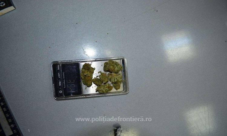 Doi maramureșeni prinși cu cannabis asupra lor – foto