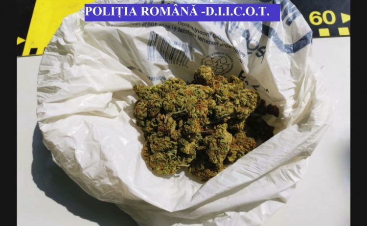 Canabis descoperit de polițiștii de frontieră asupra a doi tineri din Maramureș