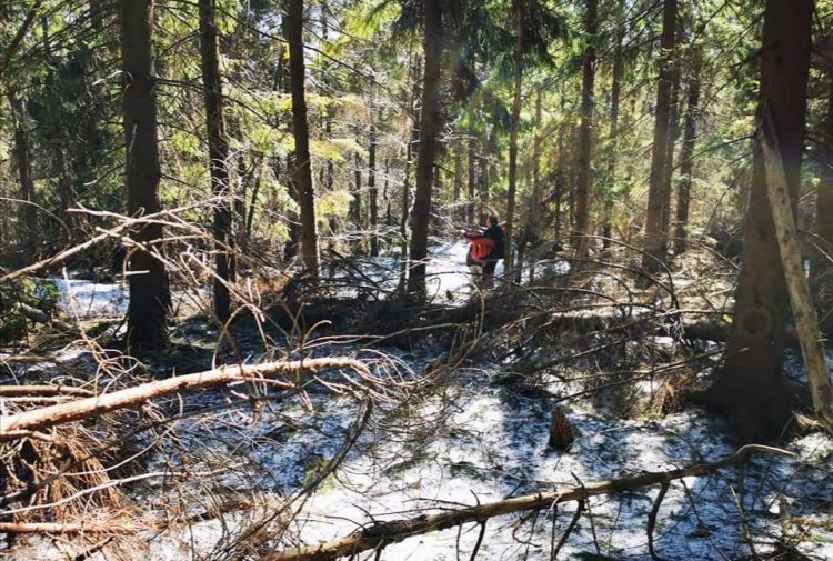 Lucrări de întreținere a traseelor turistice din județ efectuate de Serviciul Public Județean Salvamont Maramureș