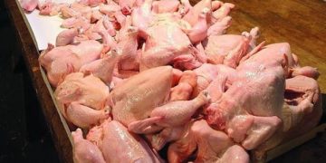 21 de tone de carne de pasăre din Polonia, contaminată cu Salmonella, a fost reţinută de inspectorii veterinari