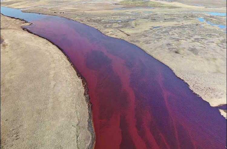 Catastrofă ecologică la Cercul Arctic. Vladimir Putin a declarat stare de urgenţă după ce zeci de mii de tone de petrol au ajuns într-un râu – video