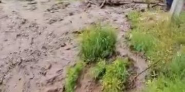 Dezastru la Bistra! Apele au dus la vale tot ce au prins în cale – VIDEO