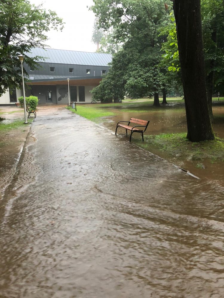 Parcul Regina Maria, sub ape. Ploaia a făcut ravagii – FOTO și VIDEO