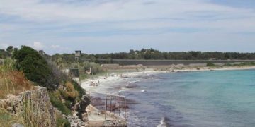 Puşcăriaşi români, eroi în Italia. Au salvat de la moarte o fată de 13 ani înțepată de o meduză