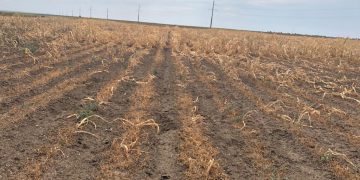 Sectorul agricol riscă să intre în colaps. Scrisoare deschisă către Ludovic Orban