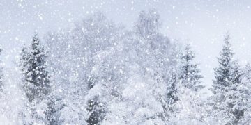 Fulgi de zăpadă în Maramureș! Prima ninsoare în Munții Rodnei