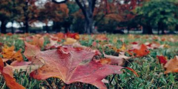 Prognoza meteo pe 2 săptămâni. Cum va fi vremea în Maramureş şi celelalte regiuni ale ţării