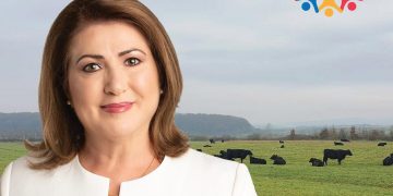 Viorica Marincaș (PRO România): ,,Din 6 Decembrie scoatem Maramureșul și țara din criză!”