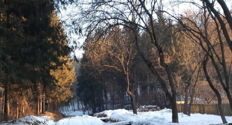 Ghinionul unui bărbat din Poienile de sub Munte: s-a răsturnat pe un drum forestier cu o maşină… neînmatriculată