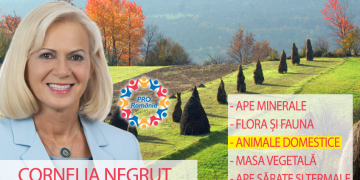 PROIECT – MARAMUREȘUL, RESURSE NATURALE INESTIMABILE