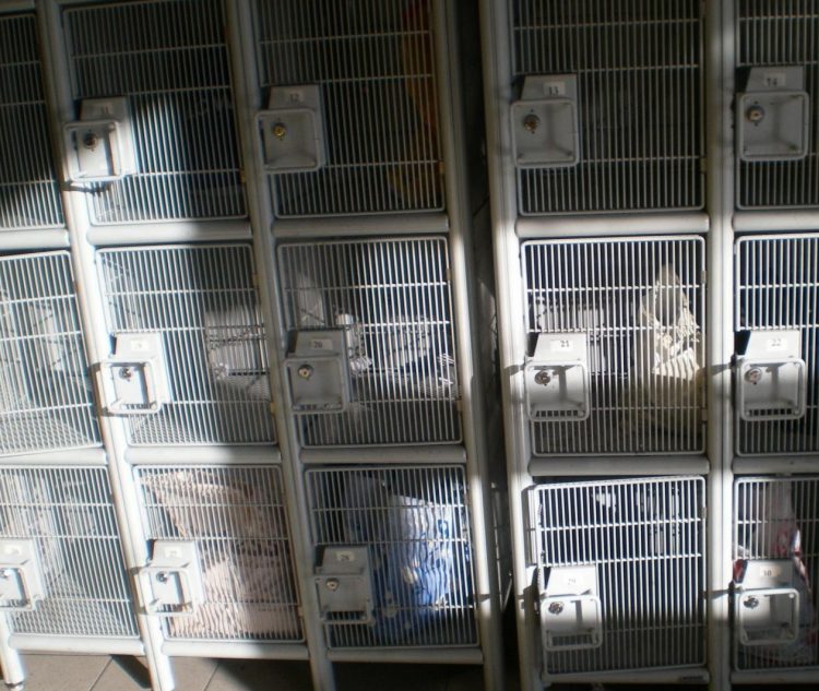 Bărbat de 31 de ani cercetat după ce a furat din dulapul de depozitare bagaje clienți dintr-un supermarket