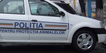 Posturi scoase la concurs în vederea încadrării din sursă externă pentru poliția protecția animalelor