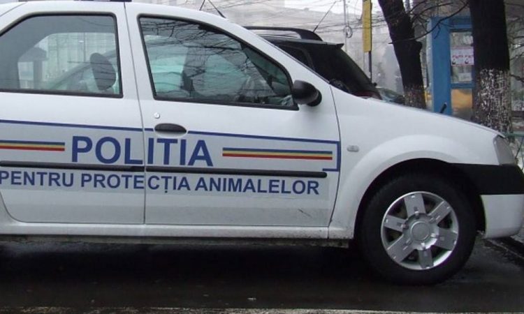 Posturi scoase la concurs în vederea încadrării din sursă externă pentru poliția protecția animalelor