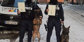 Doi agenți ai Grupei Canine din cadrul IPJ Maramureș, felicitări din partea Inspectoratului General al Poliției Române