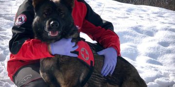 Interviu cu Pop Samir, coordonatorul Echipei Canine de Căutare și Salvare