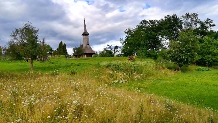 Conferință Internațională online ”Convertire și spiritualitate ecologică. Nu stăpâni, ci ocrotitori”