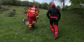 Tragedie. Un bărbat din Budeşti a murit strivit de copacul pe care îl tăia