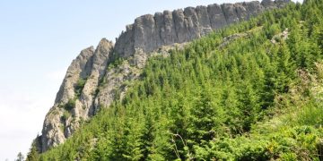 Drumeție în Aria Naturală Protejată Creasta Cocoșului, sâmbătă, 5 iunie