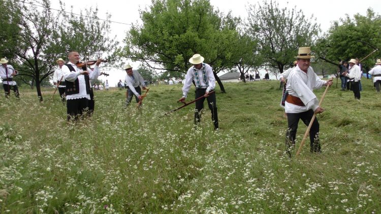 Clacă de cosit iarbă la Codru Butesii