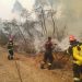 Trăim o lecție de solidaritate! Ei sunt doar 6 dintre pompierii români care s-au oferit voluntari pentru a merge să stingă incendiile din Grecia