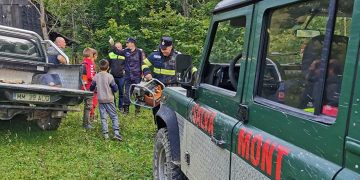 Tragedie la Borşa! Un bărbat şi-a găsit sfârşitul după ce un copac a căzut peste el