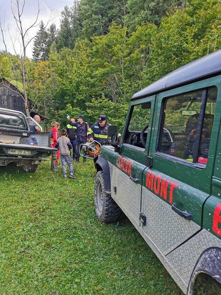 Tragedie la Borşa! Un bărbat şi-a găsit sfârşitul după ce un copac a căzut peste el