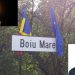 Cel mai longeviv primar din Maramureș, Pop Gavril, a murit încercând să rezolve ceva probleme în capitală