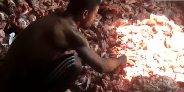 Imagini sfâşietoare. Foamete mare în Brazilia. Oamenii scotocesc printre oase de animale, pentru hrană