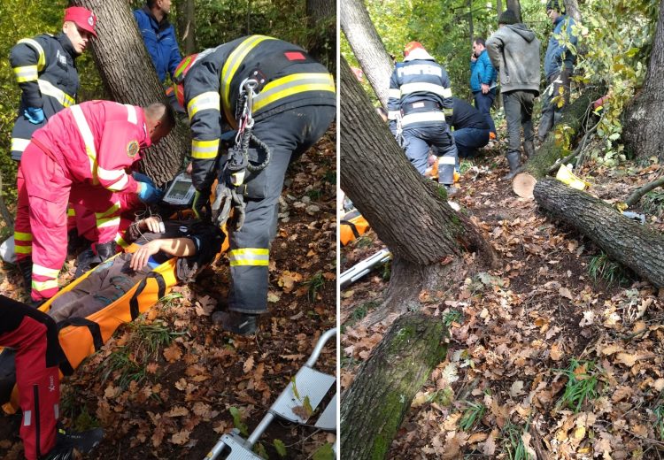 Bărbat rănit după ce un copac a căzut peste el la Tăuţii de Sus – FOTO