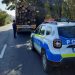 Poliţiştii maramureşeni intensifică activităţile de prevenire şi combatere a infracţiunilor la regimul silvic