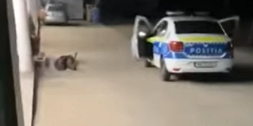 Un om bolnav, bătut și batjocorit de un polițist în faţa unui supermarket – video